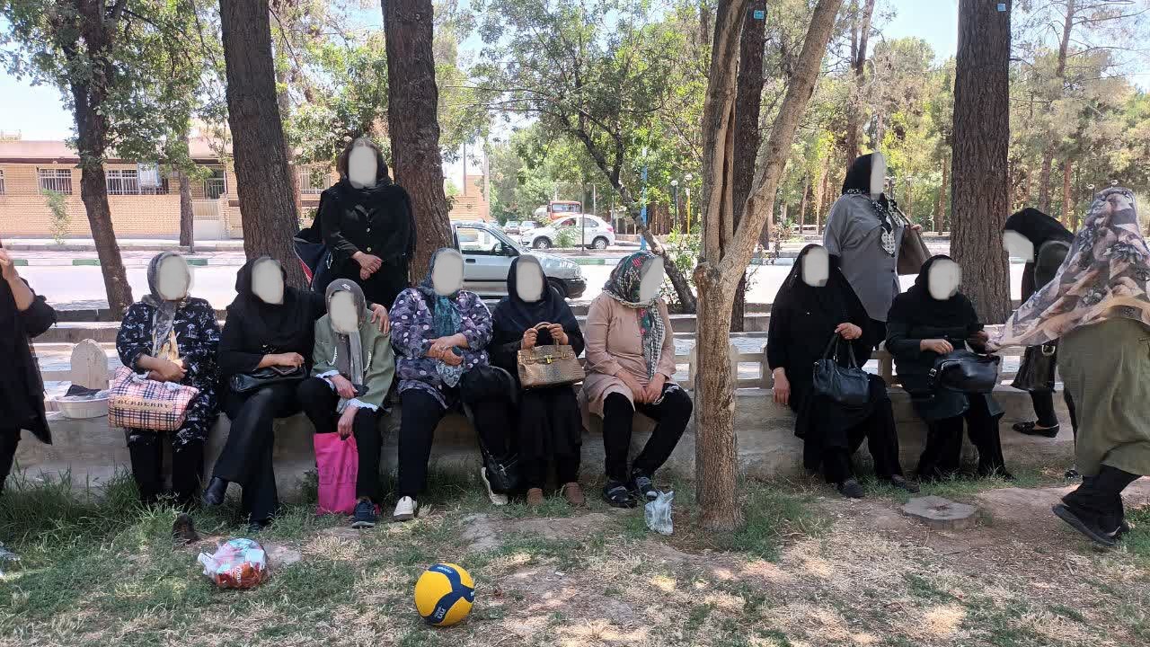 اردوی پارک