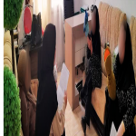 کلاس عروسک گردانی