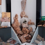 اردو موزه سنگ و فسیل