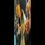 کلاس تئاتر