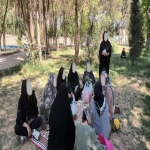 گروه درمانی
